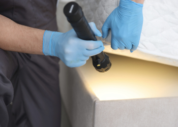 Searching Underneath Bed with Flashlight Wearing Protective Gloves